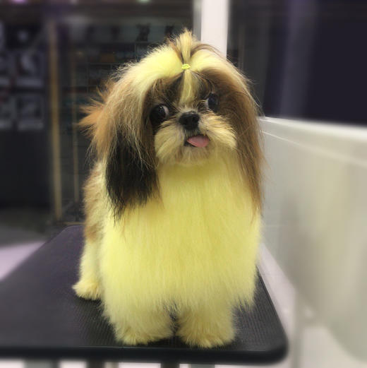 宠物染色香波 500ml OPAWZ小爪印 商品图4