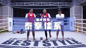 14.杀玉狼独家连续肘击揭秘（肘法的技术及路线变化）