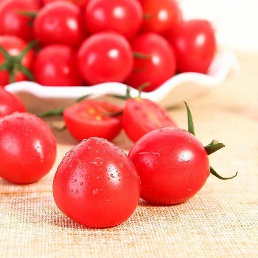 千禧小番茄 商品图1
