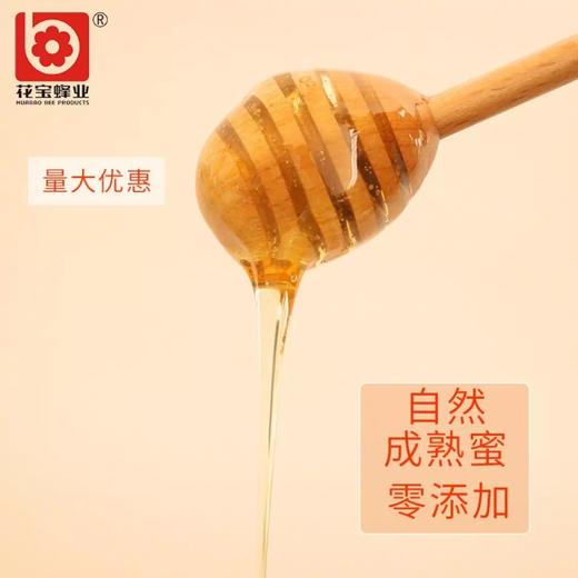 【社区团购】花宝油菜蜜 500g/瓶 商品图2