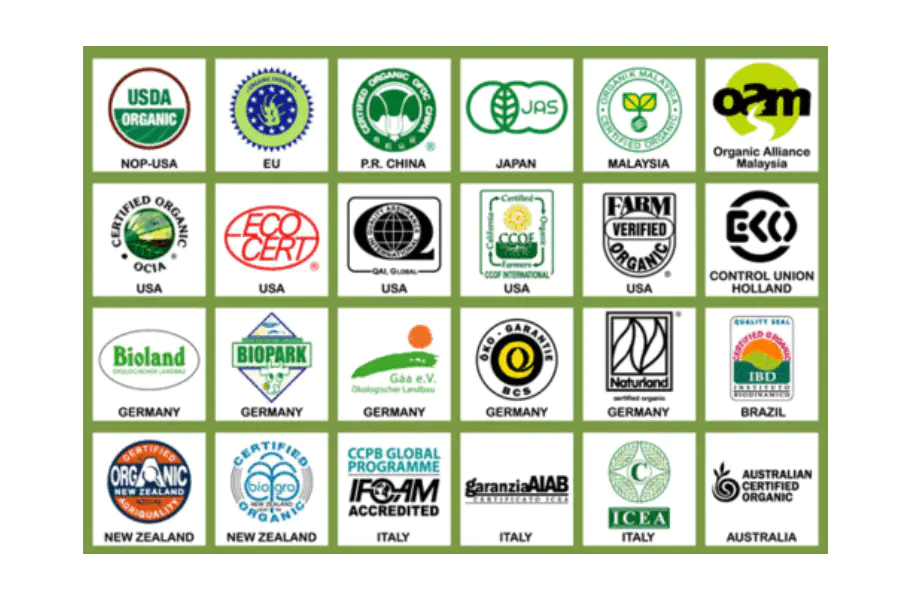 第1单元丨第5课 如何鉴别精油的品质 Dr Wong