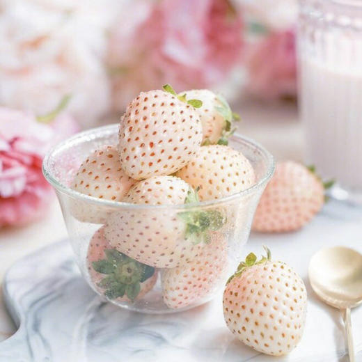 【初恋的蜜雪白草莓】白色恋人草莓,11颗大果/盒约300g,仅发上海,日本