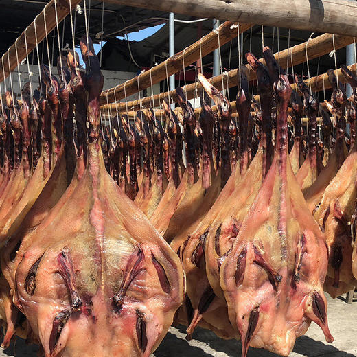 少盐天然香辛料古法制作越嚼越香会仙旧村老鸭板鸭500550g只