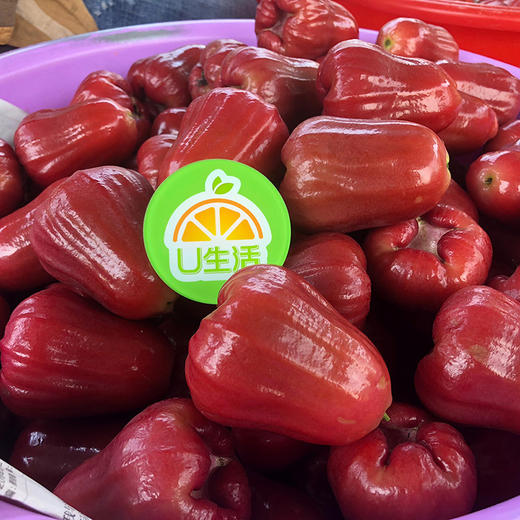 海南黑金刚莲雾 3斤 商品图9