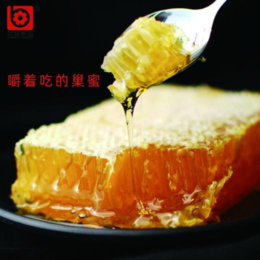 花宝青海巢蜜  400g/盒 商品图3