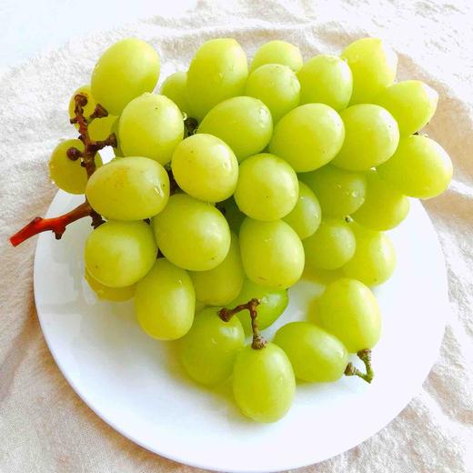 女皇葡萄，生态无药残种植，孕婴人群也可放心食用。独有沁人心脾的浓郁香气，甜度超高，口感超棒！ 商品图2