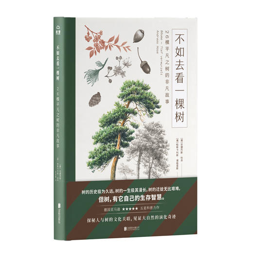 不如去看一棵树：26棵平凡之树的非凡故事 不仅是一本介绍树的自然笔记，也是一部引经据典的文化随笔。 商品图0