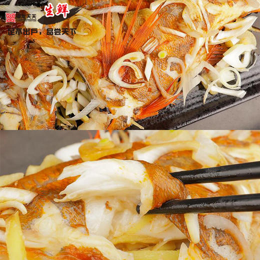 港龙生鲜品牌礼包套餐B(西班牙长寿鱼300G以上+新西兰牛腱子1.5KG） 商品图2