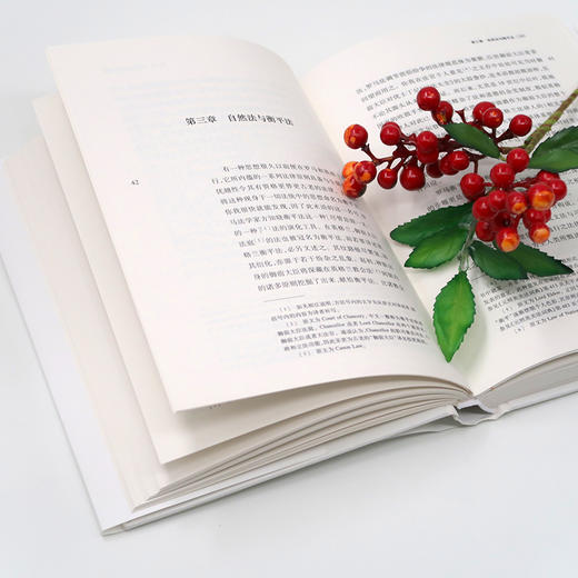 古代法 商品图1