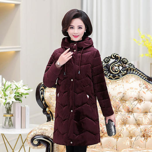 YCE-1752秋冬装新款加厚金丝绒羽绒棉服 商品图2