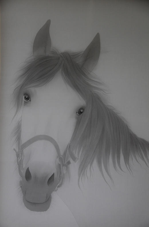 杨凡 | Horse-series.2 商品图0