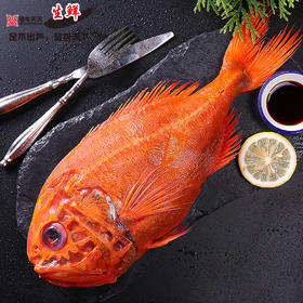 港龙生鲜品牌礼包套餐B(西班牙长寿鱼300G以上+新西兰牛腱子1.5KG）