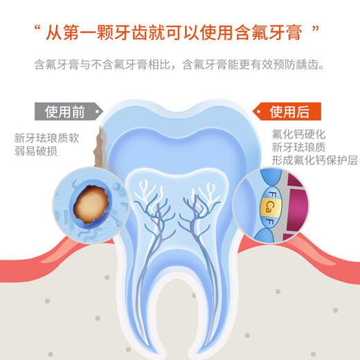 健康牙齿呵护成人儿童牙膏防蛀去异味保护牙釉质口腔清洁 商品图3