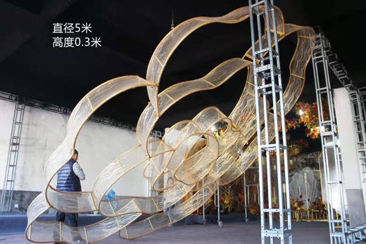 花瓣吊顶【运费自理】 商品图3