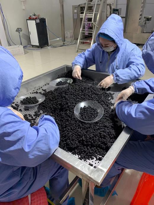 免洗 即食泡水 四川凉山桑葚干 200克 商品图6