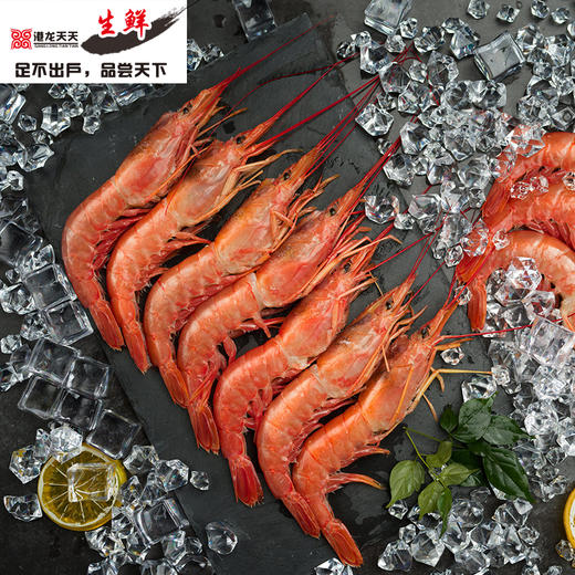 港龙生鲜品牌礼包套餐C(阿根廷红虾黑标L2 2KG+大西洋鲑（挪威原切）500G) 商品图0