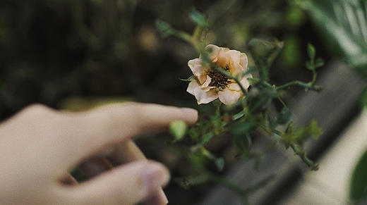 第四节 | 新手妈妈的核心恐惧 商品图0