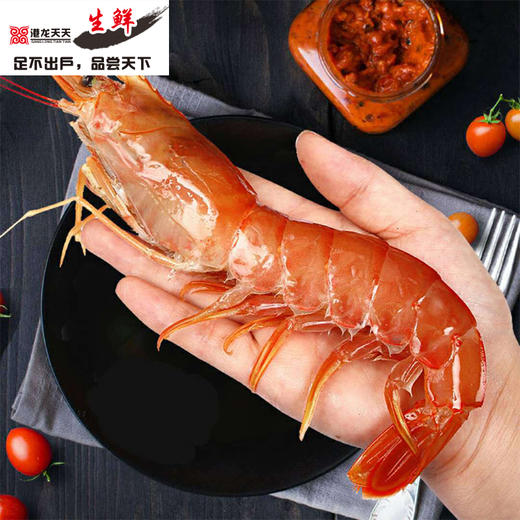港龙生鲜品牌礼包套餐C(阿根廷红虾黑标L2 2KG+大西洋鲑（挪威原切）500G) 商品图1