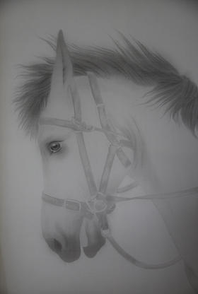 杨凡 | Horse-series.1