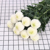 乒乓菊·白色 商品缩略图0