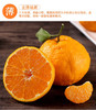 正宗四川春见耙耙柑粑粑柑8斤装 商品缩略图4