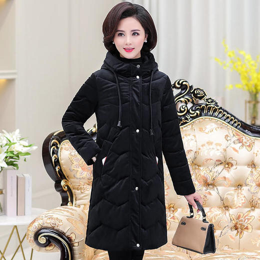 YCE-1752秋冬装新款加厚金丝绒羽绒棉服 商品图1