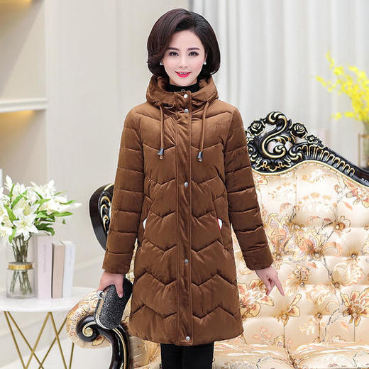 YCE-1752秋冬装新款加厚金丝绒羽绒棉服 商品图0