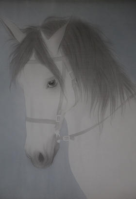 杨凡 | Horse-series.4