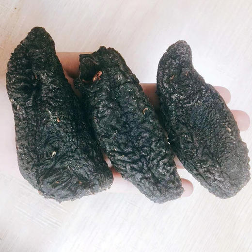 Iceland Sea Cucumber  冰岛海参 商品图2