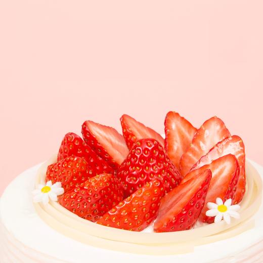 【6磅大蛋糕】红颜草莓 鲜果蛋糕（深圳） 商品图1