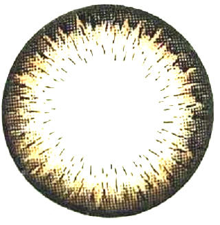 水呼吸美瞳   大眼魅（黑，棕，灰，蓝）  年抛     一片装 商品图2