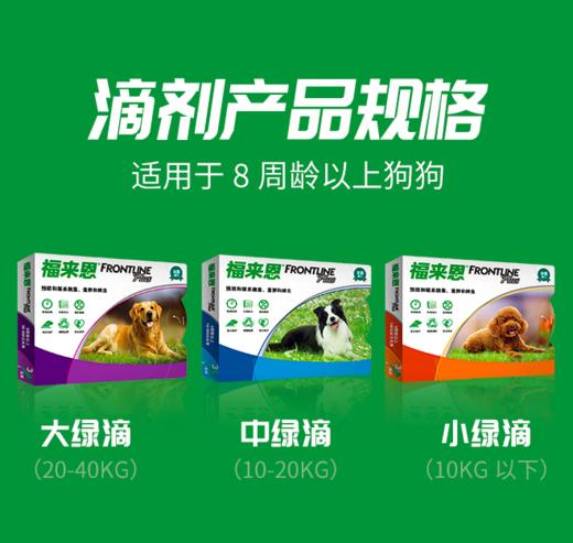 福来恩犬用滴剂 10kg内/10~20kg/20~40kg 商品图0
