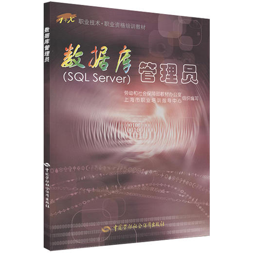 数据库管理员（SQL Server） 商品图0