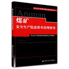 煤矿安全生产隐患排查治理指导 安全生产隐患排查治理指导丛书