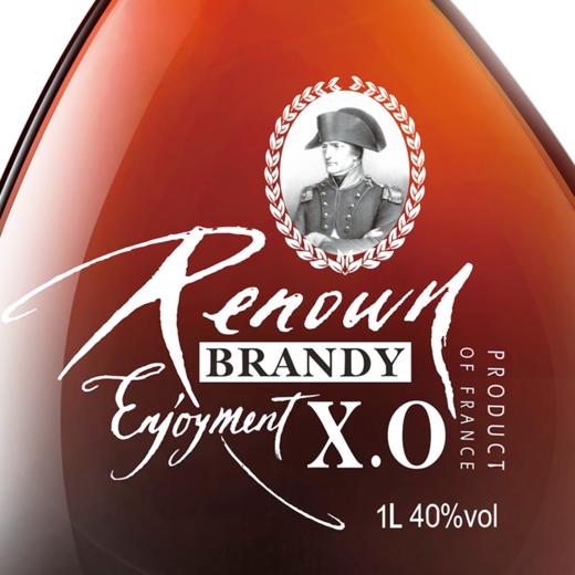 法国雷诺悦享XO白兰地1000ml(1L) 商品图3