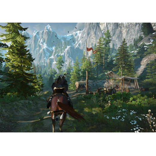 【共享租借】任天堂（Nintendo）switch NS游戏卡  巫师3 狂猎 共享租借 商品图5