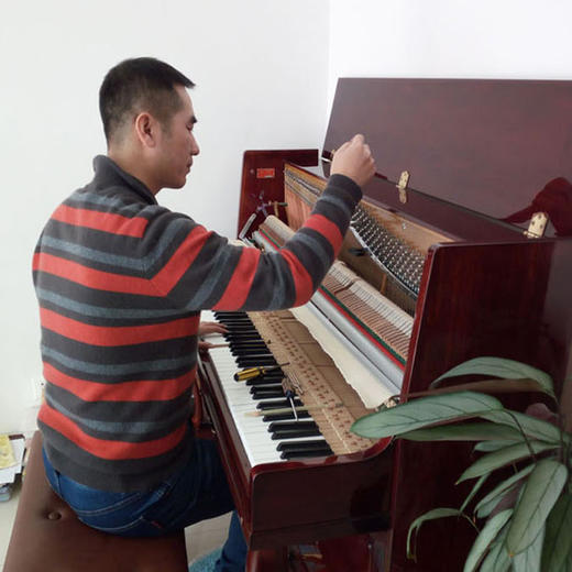 钢琴调音 ｜ 国家高级调音师上门服务（仅限北京） 商品图2