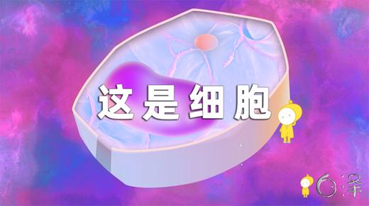 《这是什么》第六集：细胞 商品图0