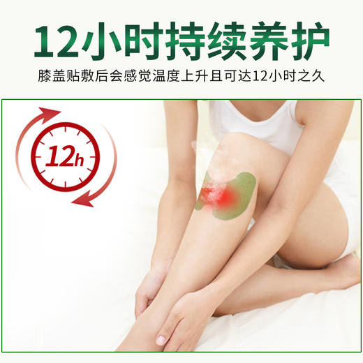 百年扁氏艾草膝盖贴（赠品勿拍） 商品图4