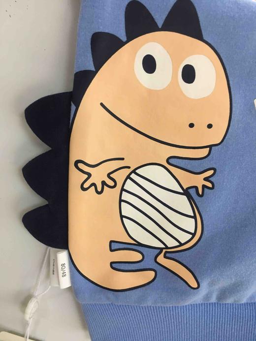 棉果果春秋季男童小毛圈插肩袖连帽卫衣M112182220109 商品图9