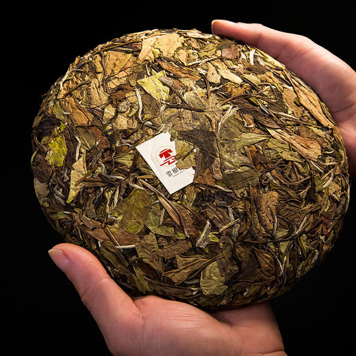 【高山贡眉2016年】政和白茶/云根茶业双非遗大师茶相厚系列 商品图2