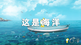 《这是什么》第四集：海洋