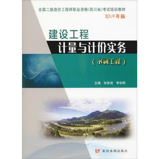 建设工程计量与计价实务(水利工程) 2019 商品图0