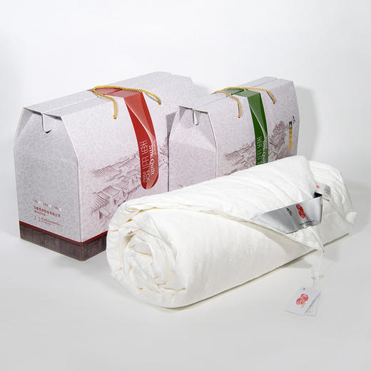 乌镇景区益大丝号桑蚕丝被被芯丝绵被 商品图0