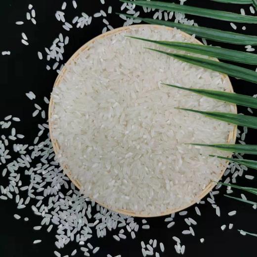 五常大米  2.5kg 大自然馈赠的天然好米  出自黑龙江五常 饱满清透 筋糯清甜 香气浓郁 商品图8
