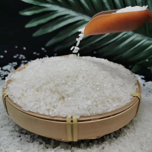 五常大米  2.5kg 大自然馈赠的天然好米  出自黑龙江五常 饱满清透 筋糯清甜 香气浓郁 商品图9
