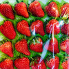 丹东99草莓 商品缩略图1