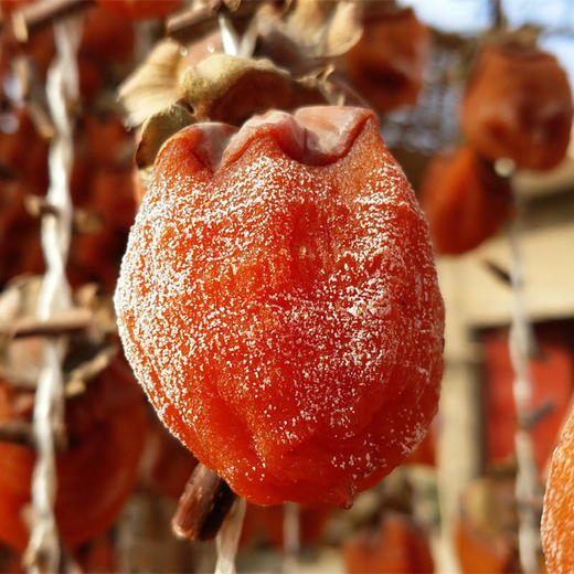 陕西富平柿饼 商品图2