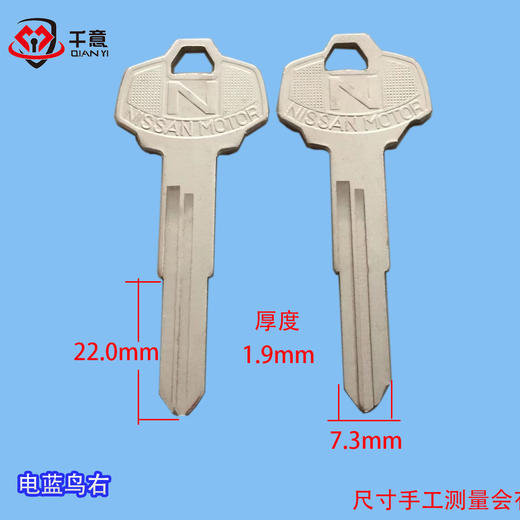 电蓝鸟右 商品图0