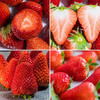 丹东99草莓 商品缩略图3